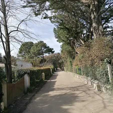 Le Grand Bel Air